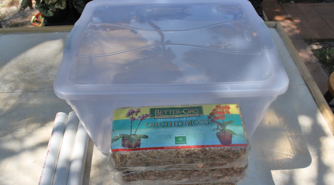 Plumeria Care: How To Build A Humidity Box