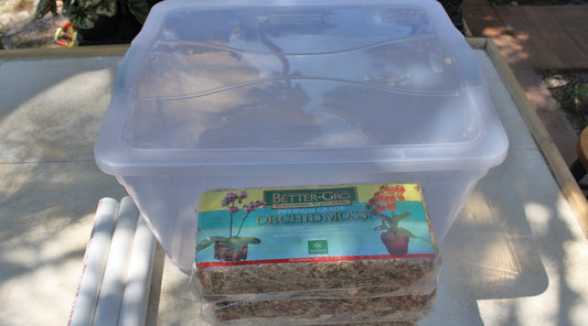 Plumeria Care: How To Build A Humidity Box